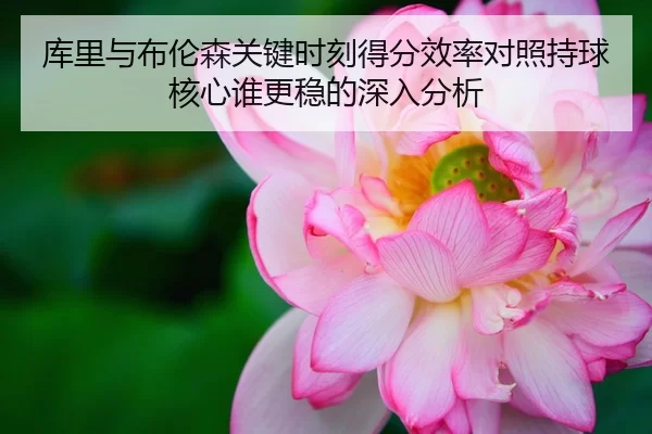 库里与布伦森关键时刻得分效率对照持球核心谁更稳的深入分析