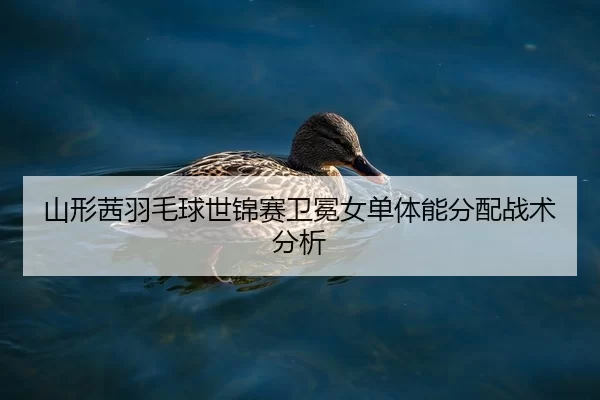 山形茜羽毛球世锦赛卫冕女单体能分配战术分析