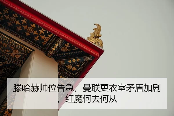 teng-ha-he-shuai-wei-gao-ji-man-lian-geng-yi-shi-mao-dun-jia-ju-hong-mo-he-qu-he-cong-3-342.jpg