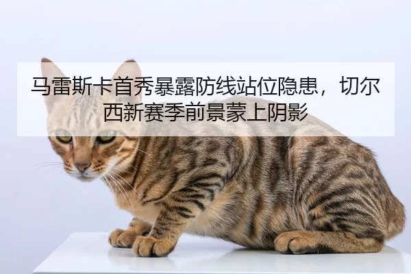 ma-lei-si-ka-shou-xiu-bao-lu-fang-xian-zhan-wei-yin-huan-qie-er-xi-xin-sai-ji-qian-jing-meng-shang-yin-ying-2-607.jpg