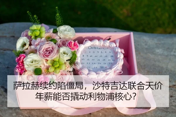 sa-la-he-xu-yue-xian-jiang-ju-sha-te-ji-da-lian-he-tian-jia-nian-xin-neng-fou-qiao-dong-li-wu-pu-he-xin-3-306.jpg