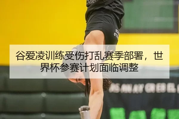谷爱凌训练受伤打乱赛季部署，世界杯参赛计划面临调整